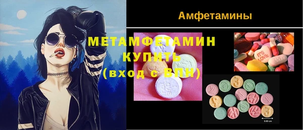 метадон Алексин
