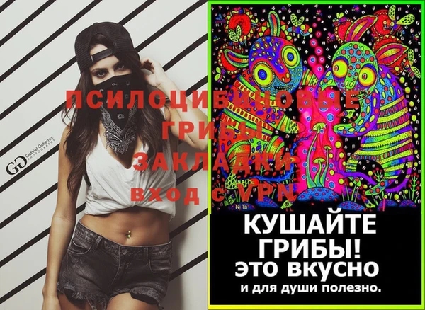 соль ск Алзамай