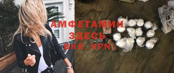 метадон Алексин
