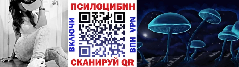 магазин продажи наркотиков  Дюртюли  Псилоцибиновые грибы мухоморы 