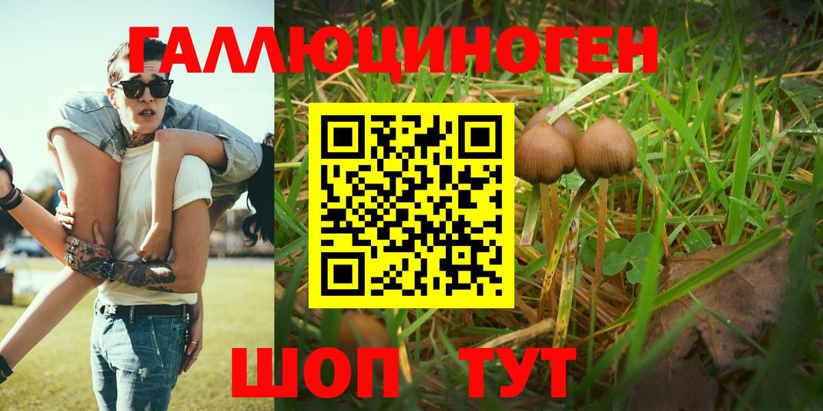Дюртюли  Псилоцибиновые грибы мухоморы  Вход с VPN 